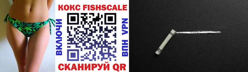 COCAIN Fish Scale  Купить закладки  Санкт-Петербург 
