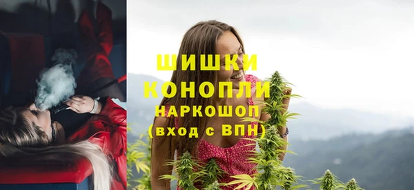 Альфа ПВП Верея