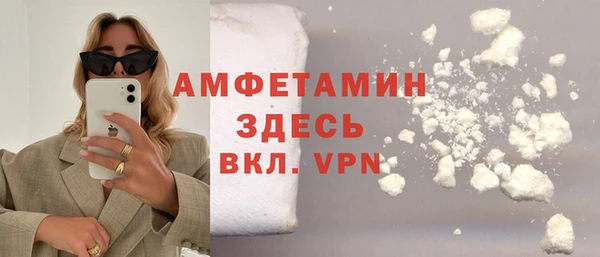 Альфа ПВП Верея