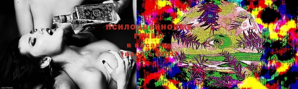 Альфа ПВП Верея