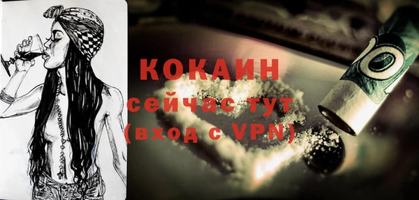 Альфа ПВП Верея