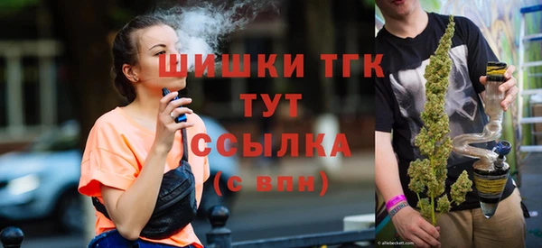 Альфа ПВП Верея