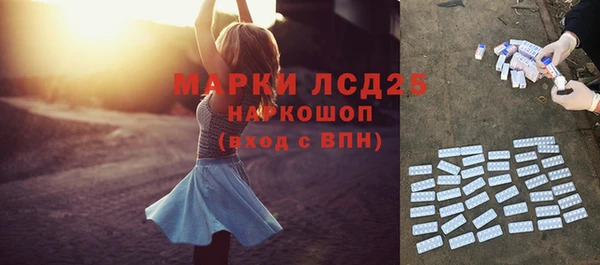 Альфа ПВП Верея