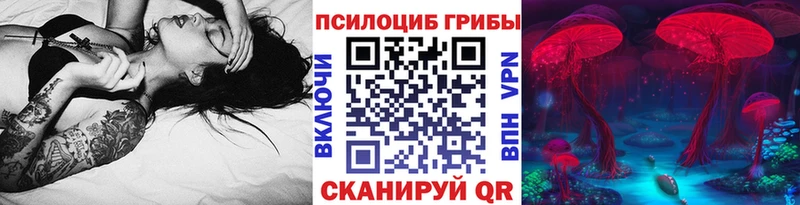 Купить закладки  Санкт-Петербург  Псилоцибиновые грибы прущие грибы 